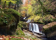 Torrrente nel bosco